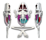 Розвиваючий набір Joker Slimy Lab Анатомія тварин - Жаба (38070) - Pampik - 3