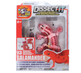 Розвиваючий набір Joker Slimy Lab Анатомія тварин - Саламандра (38071) - Pampik