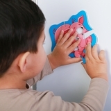 Магнітні бебі пазли Vladi Toys Конячка та порося, 8 елементів (VT3208-09) - Pampik - 5