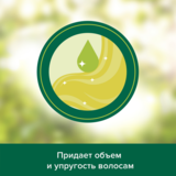 Шампунь Palmolive Натурель Обсяг Кокос, 380 мл - Pampik - 6