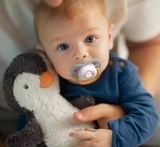 Пустушка Philips Avent Ultra Air Animal для хлопчика, 0-6 місяців, 2 шт. (SCF080/05) - Pampik - 6