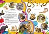 Школа чомучки. Дивовижні тварини. 60 розвивальних наклейок - Pampik - 2