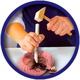 Набір Дослідник, розкопки скам'янілих комах (25066S) - Pampik - 3