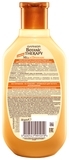 Шампунь Garnier Botanic Therapy Мед и прополис для поврежденных и секущихся волос, 250 мл - Pampik - 2
