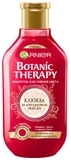 Шампунь Garnier Botanic Therapy Клюква и аргановое масло для окрашенных или мелированных волос, 250 мл - Pampik