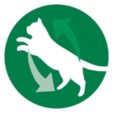 Вологий корм для кішок Purina One Indoor Тунець, зелена квасоля в гриль-соусі, 85 г - Pampik - 3