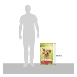 Сухой корм для взрослых активных собак Purina Friskies, с говядиной, 10 кг - Pampik - 11