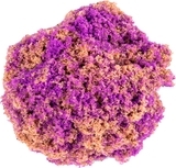 Кінетичний пісок Kinetic Sand Ракушка, фіолетовий (71482PP) - Pampik - 3