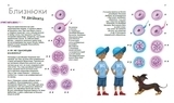 Генетика для дітей: X та Y, дівчинка або хлопчик? - Патрік А. Боерле, Норберт Ланда - Pampik - 3