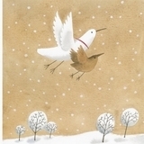 Давайте помріємо! Сніговий птах. І. Масляк - Pampik - 8