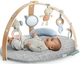 Розвиваючий килимок Ingenuity Cozy Spot (12126) - Pampik - 3