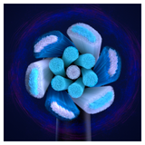 Сменные насадки для зубной щетки Oral-B iO Ultimate Clean, черный, 4 шт. - Pampik - 4