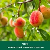 Гель для душа Palmolive Натурэль Мягкий и сладкий персик, 250 мл - Pampik - 8