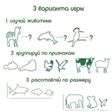 Подарунковий набір магнітів Magdum Тварини (ML4032-24 EN) - Pampik - 6