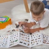 Подарунковий набір магнітів Magdum Тварини (ML4032-24 EN) - Pampik - 10