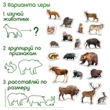 Набор магнитов Magdum Лесные жители Фото (ML4031-29 EN) - Pampik - 4