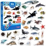 Набір магнітів Magdum Морські фото (ML4031-28 EN) - Pampik - 5