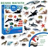 Набір магнітів Magdum Морські фото (ML4031-28 EN) - Pampik - 3