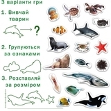 Набір магнітів Magdum Морські фото (ML4031-28 EN) - Pampik - 7