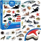 Набір магнітів Magdum Морські фото (ML4031-28 EN) - Pampik - 2