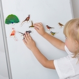 Набір магнітів Magdum Птахи Фото (ML4031-30 EN) - Pampik - 10