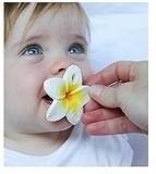 Прорезыватель для зубов "Цветочек Гавайев" Oli&Carol - Pampik - 3