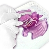 Развивающий набор Slimy Lab Dissect It "Анатомия животных. Летучая мышь" JOKER - Pampik - 3