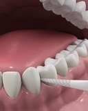 Флосс-зубочистки DenTek Тройная очистка Triple Clean, 90 шт. - Pampik - 7