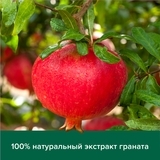 Рідке крем-мило для рук Palmolive Натурель Вітамін B і Гранат, 300 мл - Pampik - 5