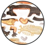 Объемная модель 4D Master Крокодил, 26 деталей (FM-622034) - Pampik - 3