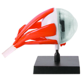 Биологические модели COG Глаз (E2370EE) - Pampik - 3