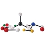 Эксперименты и опыты COG Молекулярные модели (E2387MM) - Pampik - 2