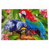 Пазл De.tail Parrots, 500 елементів (DT500-01) - Pampik - 2