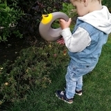 Набір для пляжу Moluk Cana+ Triplet+ Sloopi в сумці (2000066013011) - Pampik - 4