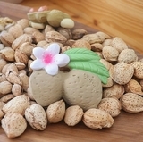 Іграшка-прорізувач Oli&Carol Мигдаль Алі (L-ALMOND-UNIT) - Pampik - 8