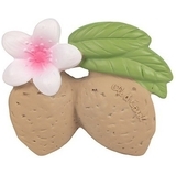 Іграшка-прорізувач Oli&Carol Мигдаль Алі (L-ALMOND-UNIT) - Pampik