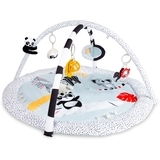 Развивающий коврик Canpol babies BabiesBoo с зеркалом, серый (68/092) - Pampik