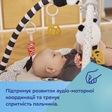 Развивающий коврик Canpol babies BabiesBoo с зеркалом, серый (68/092) - Pampik - 13