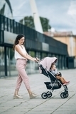 Прогулянкова коляска FreeON Lux Premium Dusty Pink-Black (44688) - Pampik - 7
