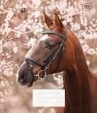 Набір зошитів Interdruk Premium Horses, клітина, 12 аркушів, 8 шт. (298546-8) - Pampik - 2