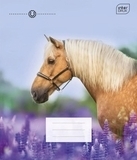 Набір зошитів Interdruk Premium Horses, клітина, 12 аркушів, 8 шт. (298546-8) - Pampik - 4