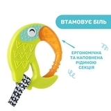 Іграшка-брязкальце прорізувач Chicco Тукан, різнокольоровий (28160.30) - Pampik - 4