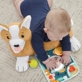Розвиваючий ігровий набір Fisher-Price Цуценя (HJW10) - Pampik - 6