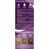 Краска для волос Palette ICC 8-21 пепельный русый, 110 мл - Pampik - 2