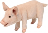 Мягкая игрушка Hansa Поросенок, 34 см (6290) - Pampik