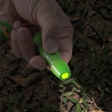 Набор натуралиста Edu-Toys Комплект 6 в 1 (BL128) - Pampik - 6