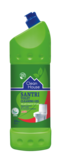 Гель для чистки унитазов Clean House Santri Альпийская свежесть, 1 л - Pampik