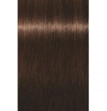 Перманентна фарба для сивого волосся Schwarzkopf Igora Royal Absolutes, відтінок 5-60 (світло-коричневий шоколадний натуральний), 60 мл (2681922) - Pampik - 3