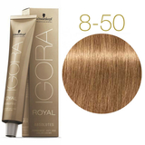 Перманентная краска для седых волос Schwarzkopf Igora Royal Absolutes, тон 8-50 (светло-русый золотистый натуральный), 60 мл (2681816) - Pampik - 2