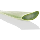 Тонізуючий лосьйон з алое вера Byphasse, для чутливої шкіри, 500 мл - Pampik - 3